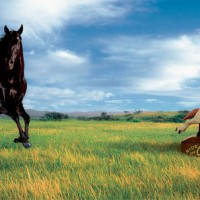 Creative Photography by Glen Wexler Glen Wexler14 200x200 Creative Photography by Glen Wexler