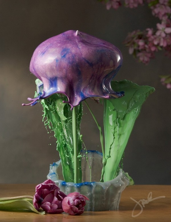 High speed liquid flowers by Jack Long JL1 High speed liquid flowers by Jack Long