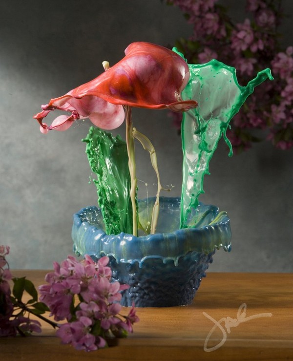 High speed liquid flowers by Jack Long JL2 High speed liquid flowers by Jack Long