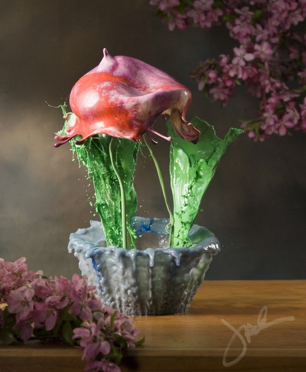 High speed liquid flowers by Jack Long JL3 High speed liquid flowers by Jack Long