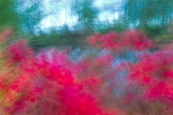 LTVs renato cerisola 06 pic on Design You Trust LTVs renato cerisola 06 Lancia TrendVisions Renato Cerisola, the garden of Monet