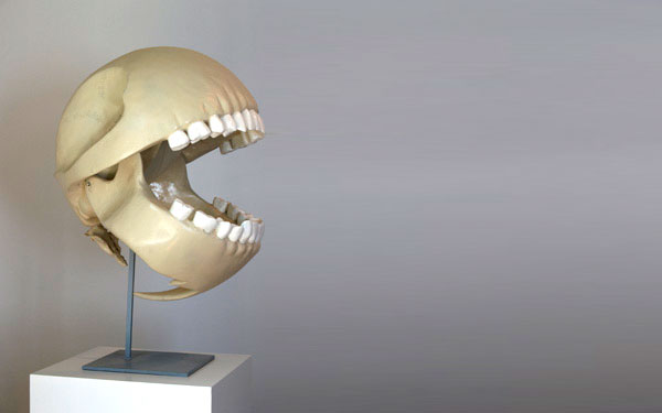 Le Gentil Garcon Pac Man’s Anatomy