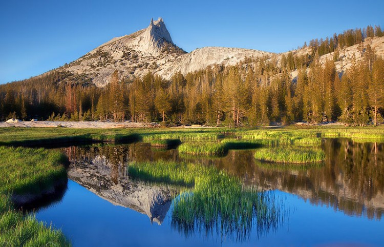Michael Greene8 750x482 Nature Photography by Michael Greene