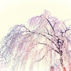Photography by Nick Meek Nick Meek2 140x140 Photography by Nick Meek