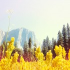 Photography by Nick Meek Nick Meek3 140x140 Photography by Nick Meek
