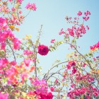 Photography by Nick Meek Nick Meek4 140x140 Photography by Nick Meek