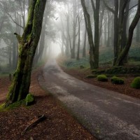 Landscape Photography by Paulo Flop Paulo Flop2 200x200 Landscape Photography by Paulo Flop