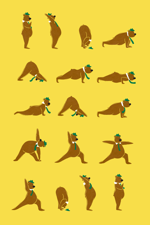Yoga Bear YogaBear Marco Yoga Bear