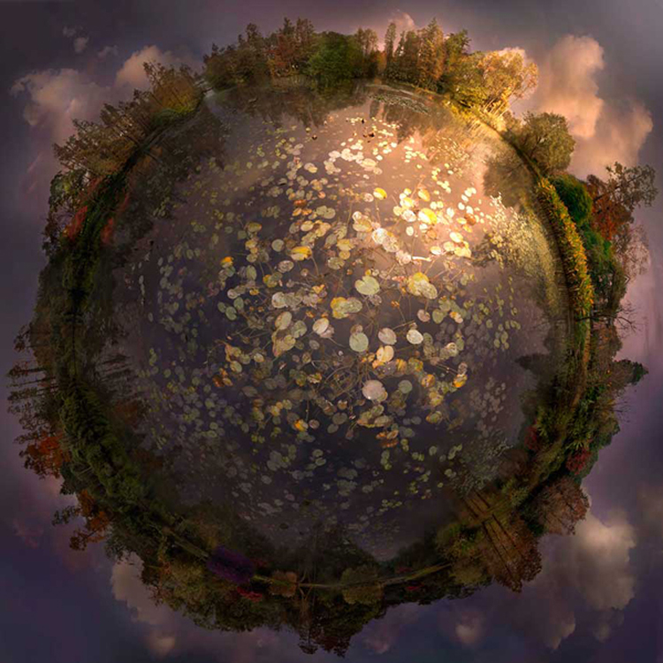 autumn hang zhou Paintings by Catherine Nelson
