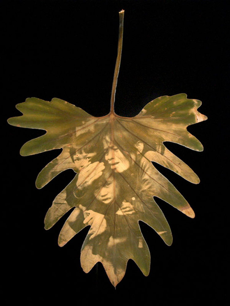 Chlorophyll Prints by Bin Danh bd 7 Chlorophyll Prints by Bin Danh