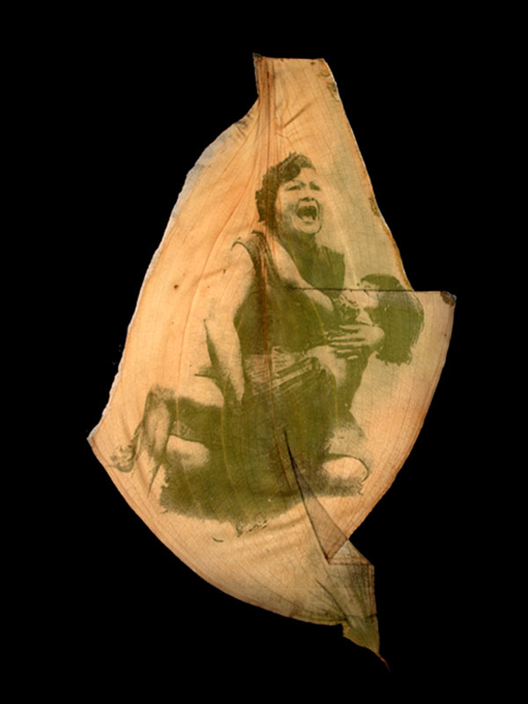 Chlorophyll Prints by Bin Danh bd 9 Chlorophyll Prints by Bin Danh