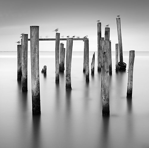 blackandwhitephoto2 pic on Design You Trust blackandwhitephoto2 Black and White Photography by Lance Ramoth