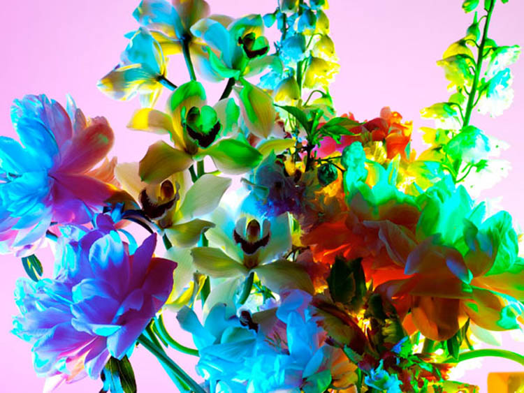 color 1 Photography by Torkil Gudnason