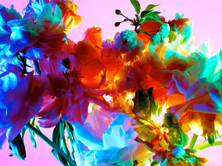 color 2 Photography by Torkil Gudnason