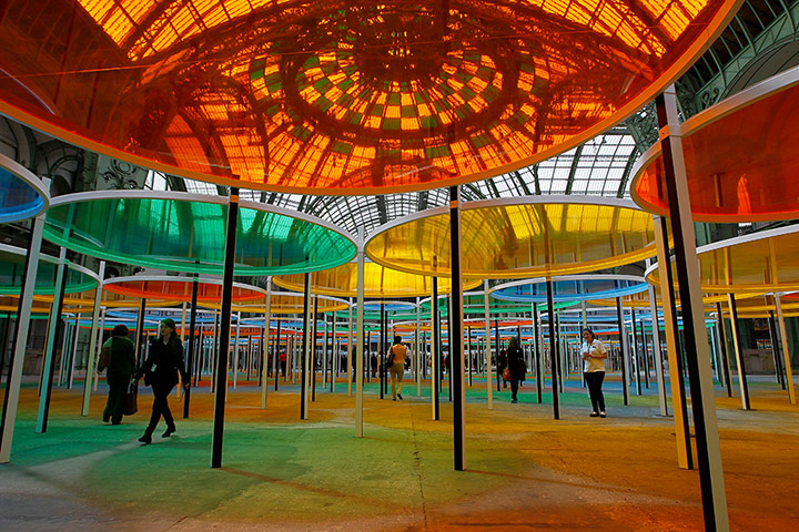 Rainbow Colored Forest danielburen Rainbow Colored Forest