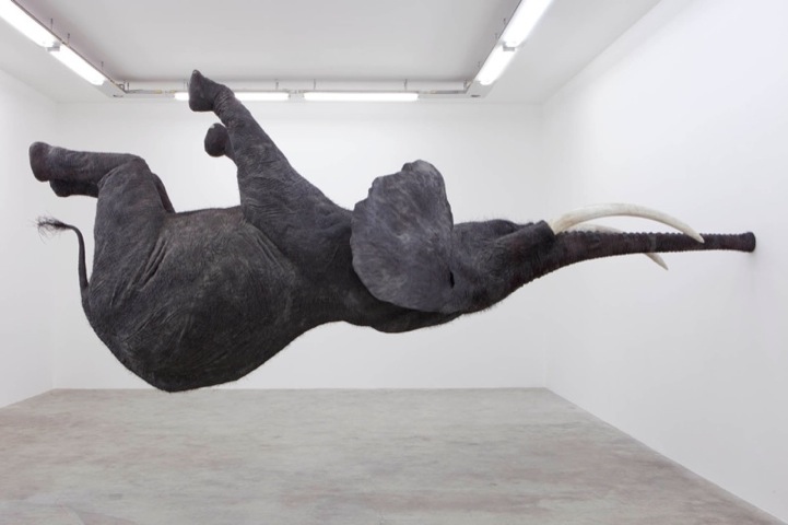 danielfirmannasutamanus1 Spectacular Gravity Defying Elephant Sculpture