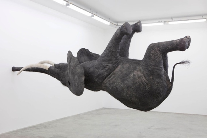 danielfirmannasutamanus2 Spectacular Gravity Defying Elephant Sculpture