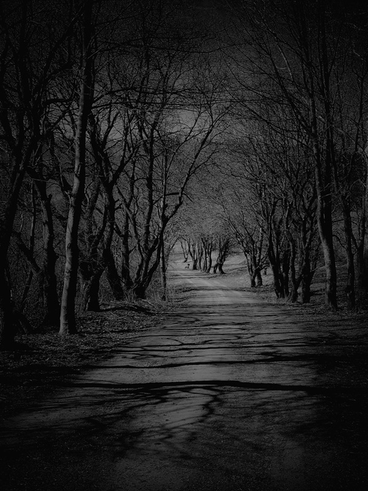 Photography by Fabio Orsi fo3 Photography by Fabio Orsi