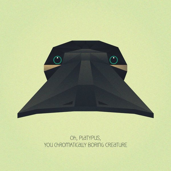 Beautiful Examples of Geometric Designs geometric designs platypus Beautiful Examples of Geometric Designs