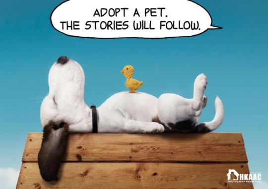 Daily Inspirations no. 431 i1a154 Daily Inspirations no. 431