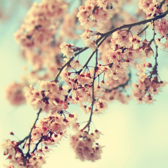 i1a16 Daily Inspirations no. 415