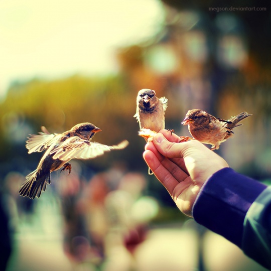 Daily Inspirations no. 433 i1a189 Daily Inspirations no. 433