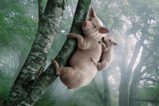 Pretty Darn Funny Photo Manipulations i1a45 Pretty Darn Funny Photo Manipulations
