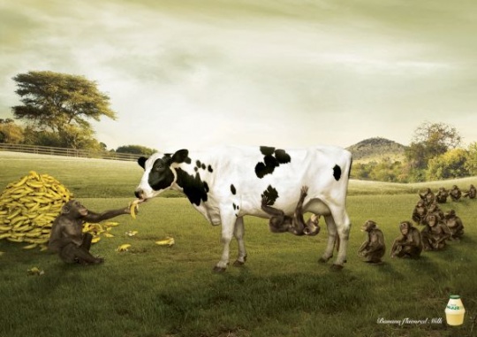 i1a70 Daily Inspirations no. 422