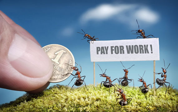 i1b124 Natural Ant Photography by Andrey Pavlov