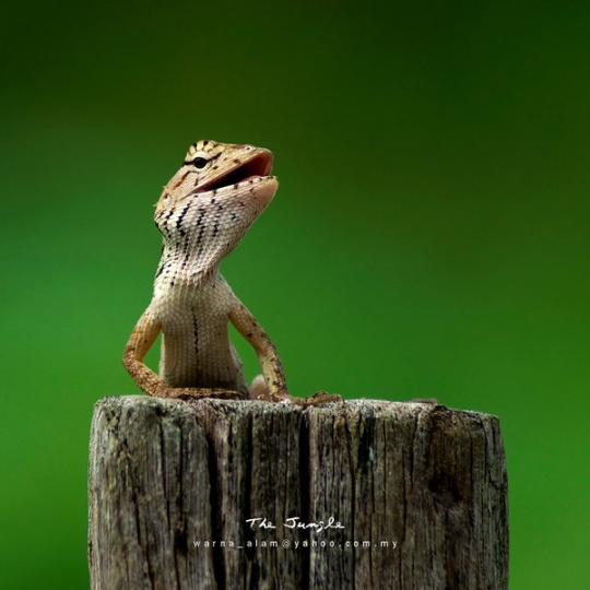 Daily Inspirations no. 434 i1b206 Daily Inspirations no. 434