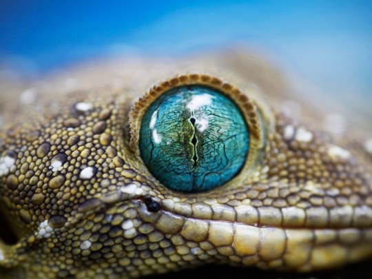 i1b28 50 Photos of the Day by National Geographic vol. 7