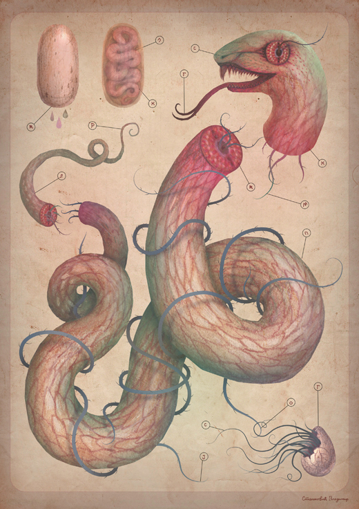 i1c158 Biophilia by Vladimir