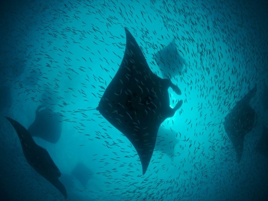 i1c28 50 Photos of the Day by National Geographic vol. 7