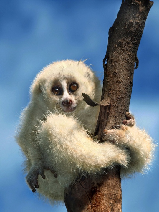 Daily Inspirations no. 419 i1d11 Daily Inspirations no. 419