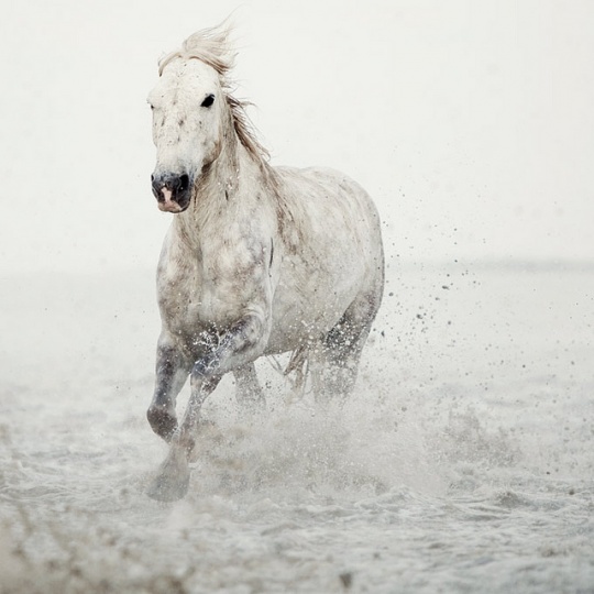 Daily Inspirations no. 427 i1d27 Daily Inspirations no. 427
