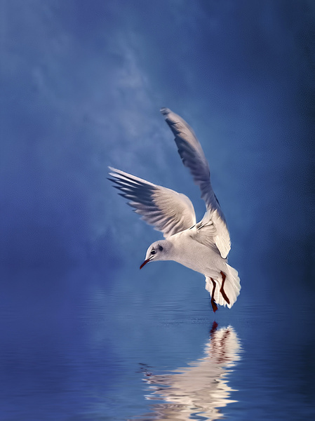 Daily Inspirations no. 431 i1d34 Daily Inspirations no. 431