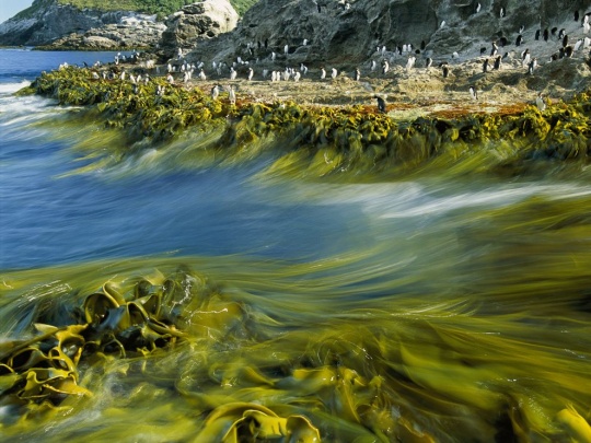 i1d6 50 Photos of the Day by National Geographic vol. 7