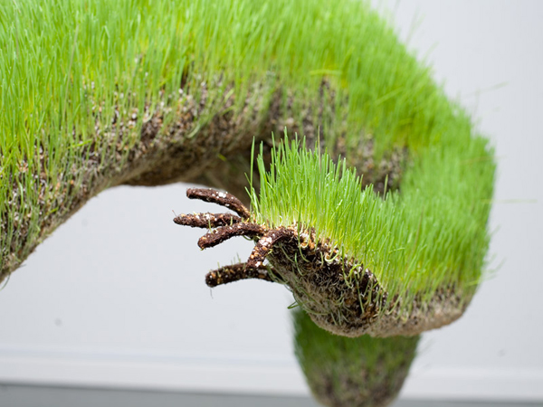 life of grass 15 Fantastic Living Grass Sculptures