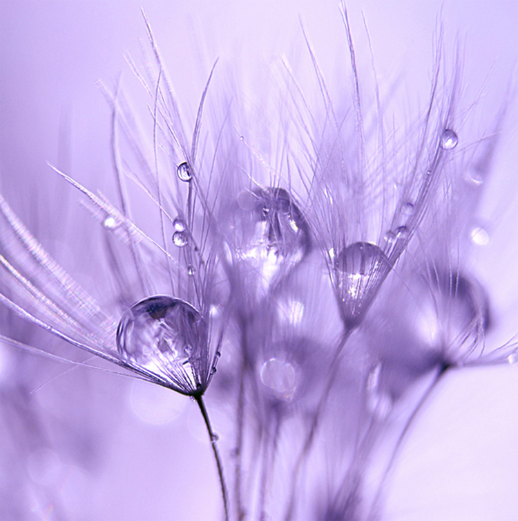 mm6 Photography by Mia Minor