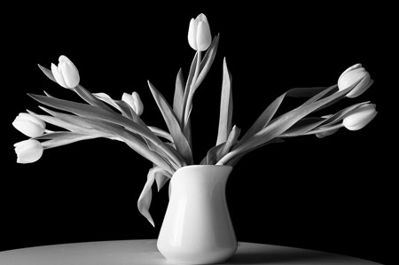 photography subject pic on Design You Trust photography subject 5 Tips For the Perfect Black and White Portrait