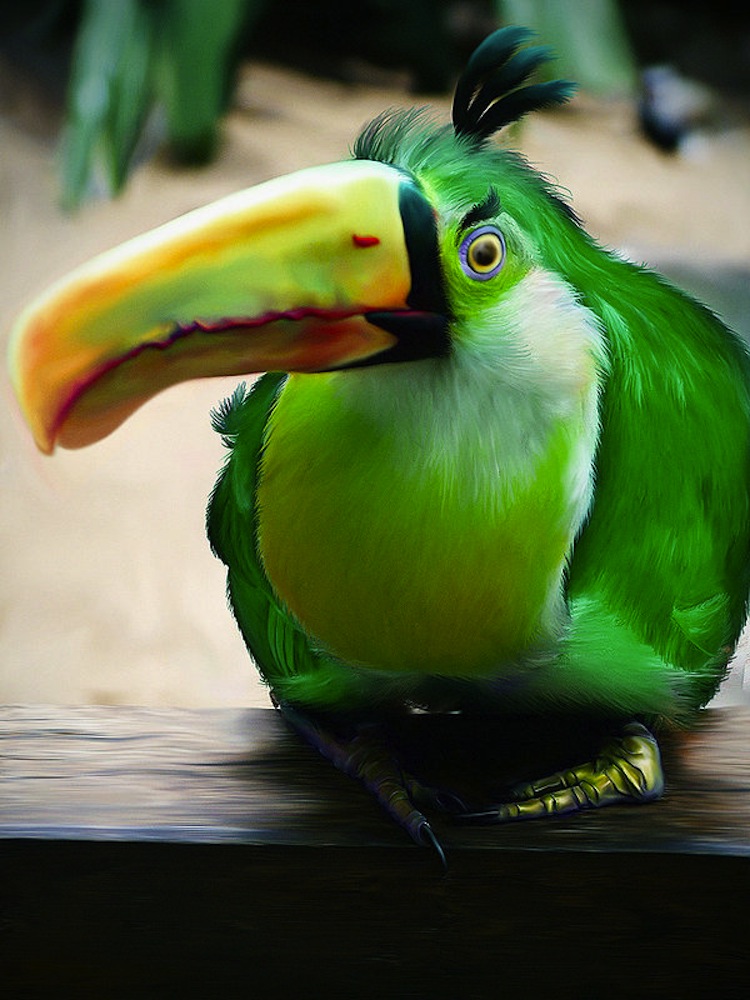 real life angrybirds boomerang pic on Design You Trust real life angrybirds boomerang Real Life Angry Birds