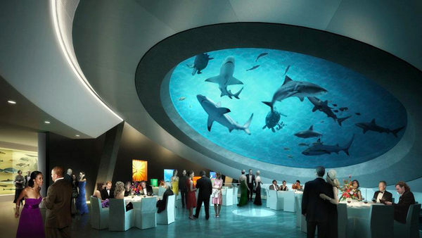 Shark Filled Atrium at Miami Science Museum shark filled atrium 1 Shark Filled Atrium at Miami Science Museum