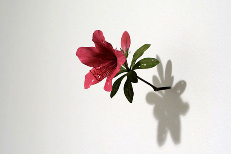 Sculptures by Yoshihiro Suda suda7 Sculptures by Yoshihiro Suda