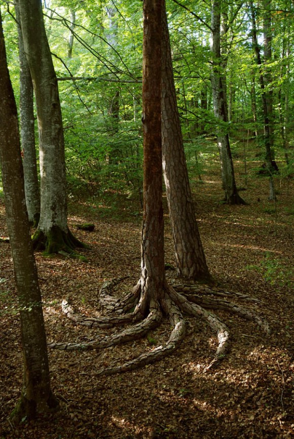 Land Art by Sylvain Meyer sylvain meyer land art installations 1 Land Art by Sylvain Meyer