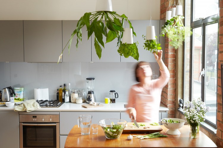 thumb12 750x500 Sky Planter, an upside down planter that saves floor space 