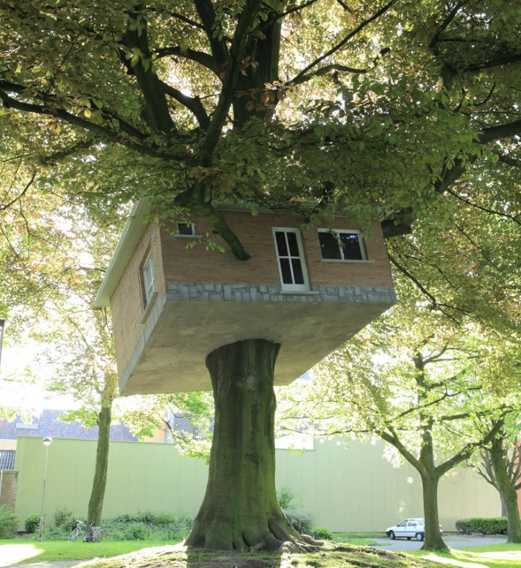 007bv1 750x817 Senior Center Turned Treehouse by Benjamin Verdonck