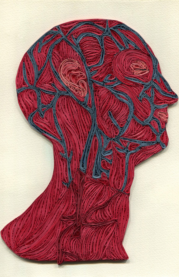 Quilled Paper Anatomy by Sarah Yakawonis 1451 Quilled Paper Anatomy by Sarah Yakawonis