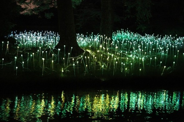 Wonderful Light Installations at LongWood Gardens 649f7494a8969dc58cf7b557ab9930b9 590x392 Wonderful Light Installations at LongWood Gardens