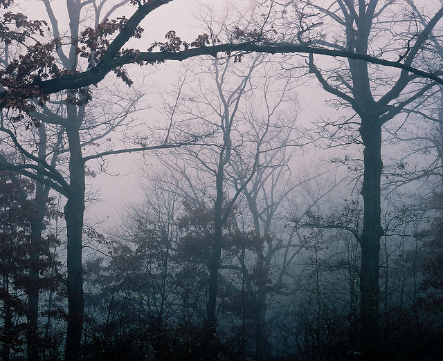 Amazing Photography by Sarah Abraham 6978086728 3977f11059 z Amazing Photography by Sarah Abraham