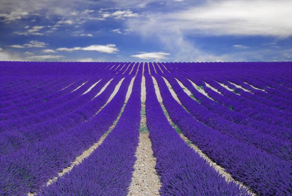 Incredible Places on Planet Earth 8505b5dd48418b3d08cfd0c33cf0f6d3 590x397 Incredible Places on Planet Earth